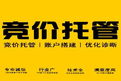 百度推广费用案例：成功案例分析及启示